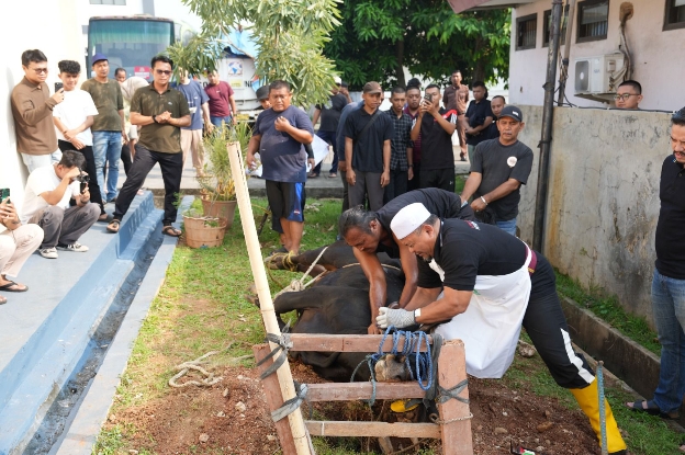 Eid Mubarak 1446 H, Kejaksaan Negeri Karawang Sembelih 7 Hewan Qurban