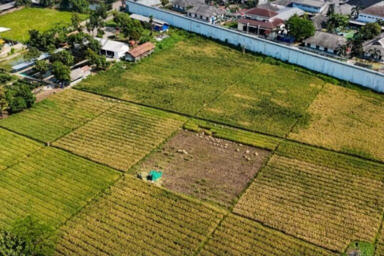 Dukung Ketahanan Pangan, Lapas Karawang Gelar Panen Padi M70D